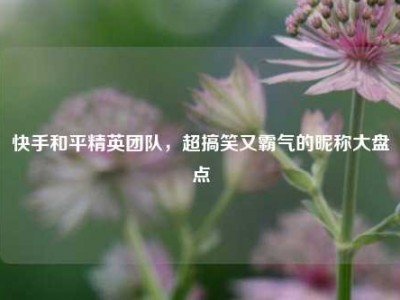 快手和平精英团队，超搞笑又霸气的昵称大盘点