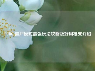 PUBG 僵尸模式最强玩法攻略及好用枪支介绍