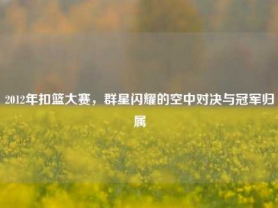 2012年扣篮大赛，群星闪耀的空中对决与冠军归属