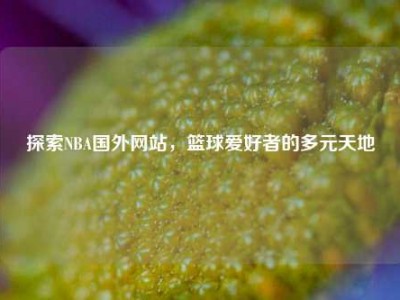 探索NBA国外网站，篮球爱好者的多元天地