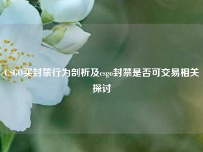 CSGO买封禁行为剖析及csgo封禁是否可交易相关探讨
