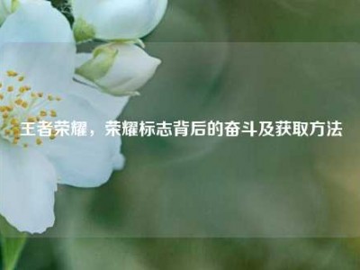 王者荣耀，荣耀标志背后的奋斗及获取     