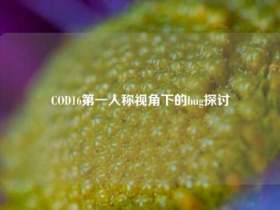 COD16第一人称视角下的bug探讨