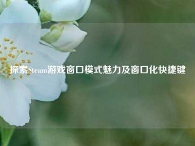 探索Steam游戏窗口模式魅力及窗口化快捷键