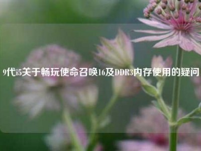 9代i5关于畅玩使命召唤16及DDR3内存使用的疑问