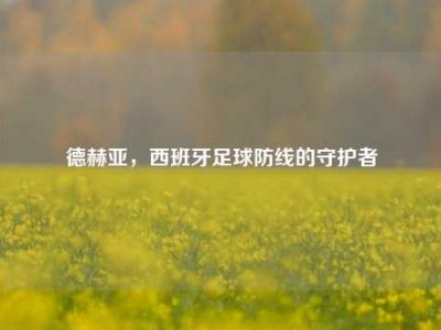 德赫亚，西班牙足球防线的守护者