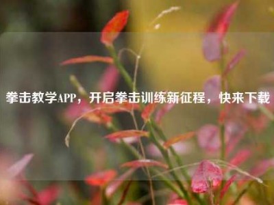 拳击教学APP，开启拳击训练新征程，快来下载