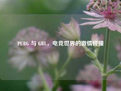 PUBG 与 GBL，电竞世界的     碰撞