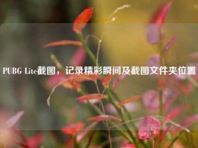 PUBG Lite截图，记录精彩瞬间及截图文件夹位置
