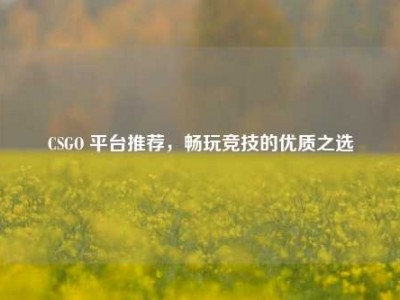 CSGO 平台推荐，畅玩竞技的优质之选