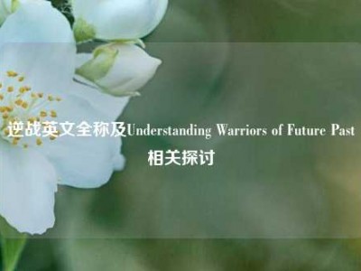 逆战英文全称及Understanding Warriors of Future Past相关探讨