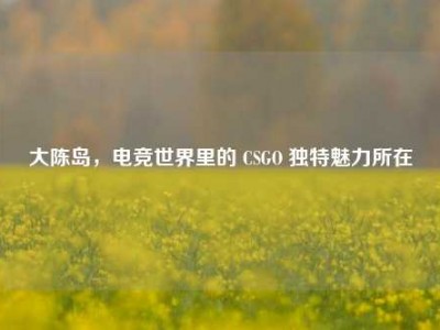 大陈岛，电竞世界里的 CSGO 独特魅力所在