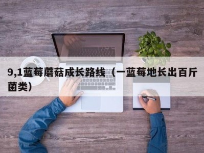 9,1蓝莓蘑菇成长路线（一蓝莓地长出百斤菌类）
