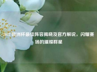 2012 欧洲杯最佳阵容揭晓及官方解说，闪耀赛场的璀璨群星