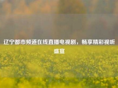 辽宁都市频道在线直播电视剧，畅享精彩视听盛宴