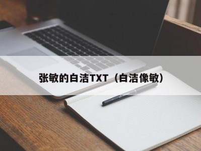 张敏的白洁TXT（白洁像敏）