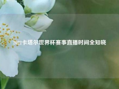 2022卡塔尔世界杯赛事直播时间全知晓