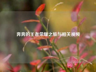 奔奔的王者荣耀之旅与相关视频