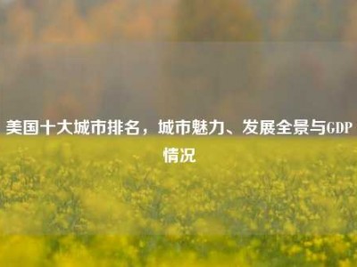 美国十大城市排名，城市魅力、发展全景与GDP情况