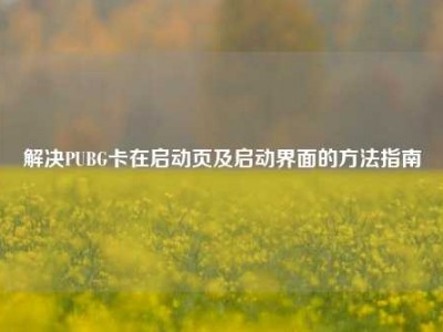 解决PUBG卡在启动页及启动界面的     指南