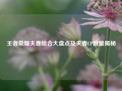 王者荣耀夫妻组合大盘点及夫妻CP数量揭秘