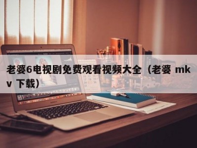 老婆6电视剧免费观看视频大全（老婆 mkv 下载）