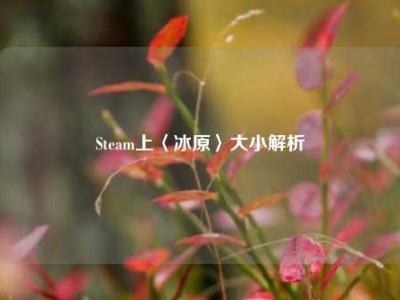 Steam上〈冰原〉大小解析