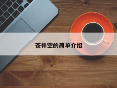 苍井空的简单介绍
