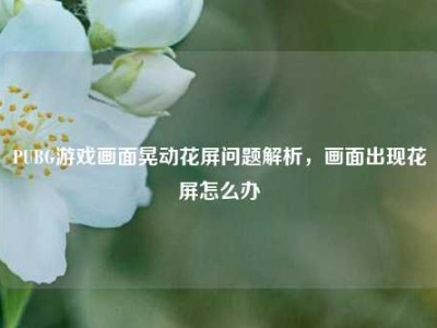 PUBG游戏画面晃动花屏问题解析，画面出现花屏怎么办