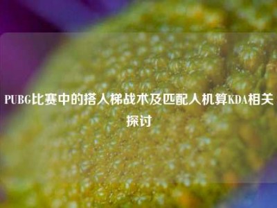 PUBG比赛中的搭人梯战术及匹配人机算KDA相关探讨