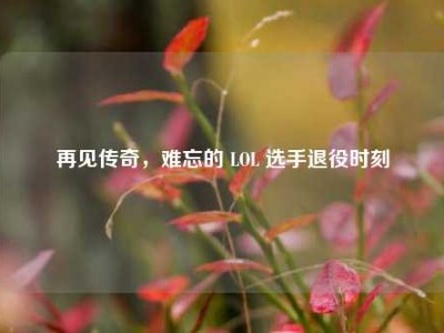 再见传奇，难忘的 LOL 选手退役时刻