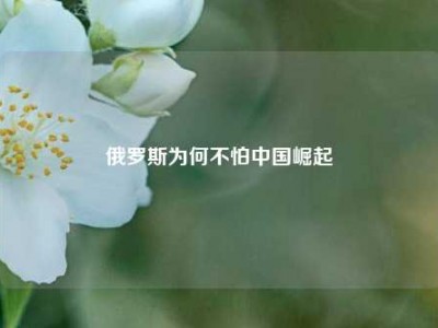 俄罗斯为何不怕中国崛起