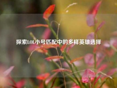 探索LOL小号匹配中的多样英雄选择