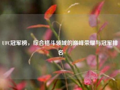 UFC冠军榜，综合格斗领域的巅峰荣耀与冠军排名