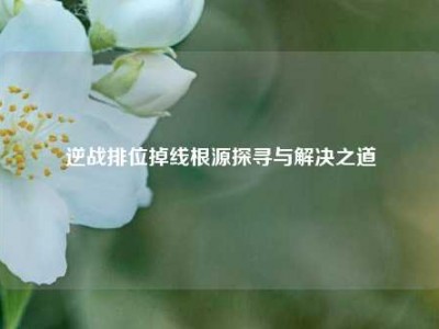 逆战排位掉线根源探寻与解决之道