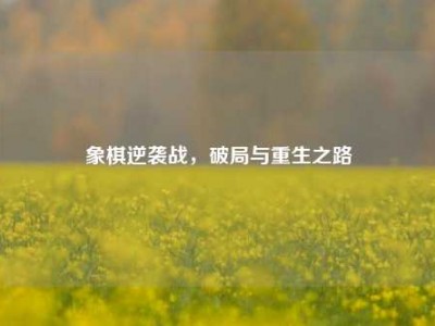 象棋逆袭战，破局与重生之路