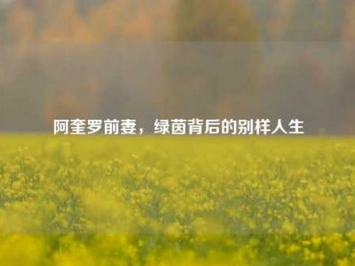 阿奎罗前妻，绿茵背后的别样人生