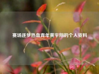 赛场逐梦热血青年黄宇翔的个人资料