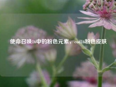 使命召唤16中的粉色元素，cod16粉色皮肤