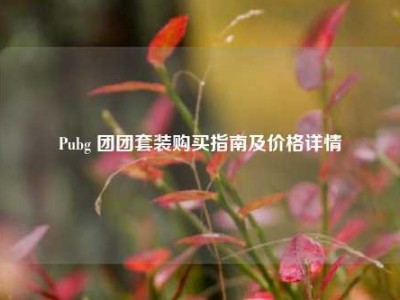 Pubg 团团套装购买指南及价格详情