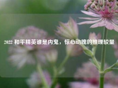 2022 和平精英谁是内鬼，惊心动魄的推理较量