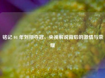 铭记 04 年刘翔夺冠，央视解说背后的     与荣耀
