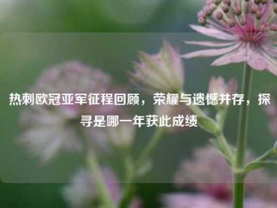 热刺欧冠亚军征程回顾，荣耀与遗憾并存，探寻是哪一年获此成绩