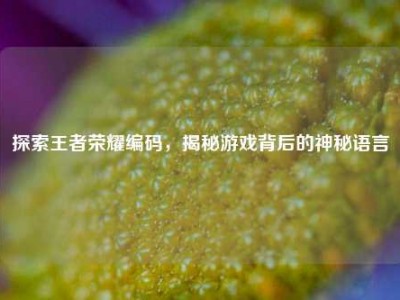 探索王者荣耀编码，揭秘游戏背后的神秘语言