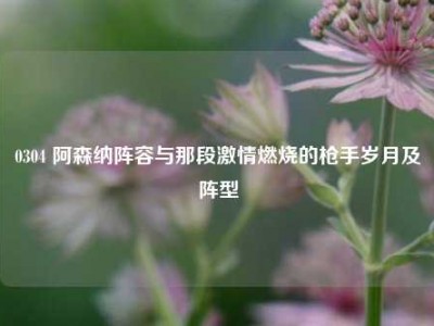 0304 阿森纳阵容与那段激情燃烧的枪手岁月及阵型