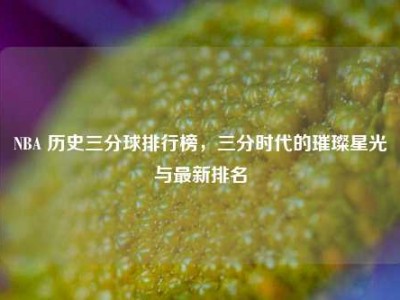 NBA 历史三分球排行榜，三分时代的璀璨星光与最新排名