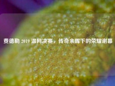 费德勒 2019 温网决赛，传奇余晖下的荣耀谢幕