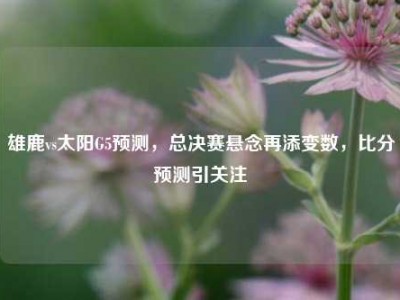 雄鹿vs太阳G5预测，总决赛悬念再添变数，比分预测引关注