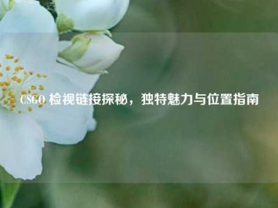 CSGO 检视链接探秘，独特魅力与位置指南