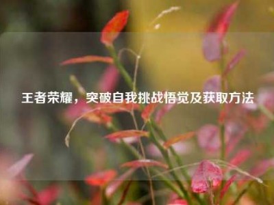 王者荣耀，突破自我挑战悟觉及获取     
